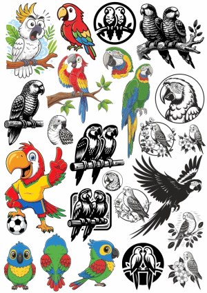 Colorful and Black and White Parrot and Cockatoo Vector Illustrations Free Vector