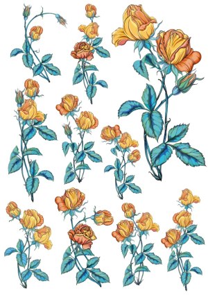 Vintage Yellow Orange Rose Flower Branches Vector Set Free Vector