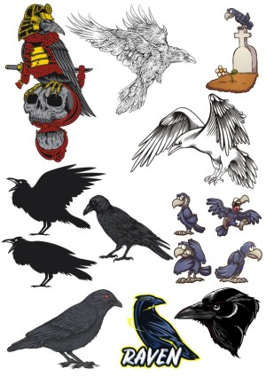Raven and Crow Vector Illustrations Collection Free Vector