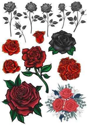 Decorative Vector Set of Various Rose Illustrations and Bouquets Free Vector