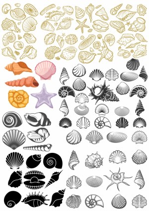 Variety of Seashells and Starfish Vector Illustrations Free Vector