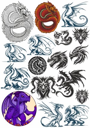 Collection of Dragon Vector Illustrations and Tribal Designs Free Vector