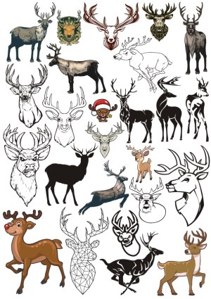 Collection of Deer and Reindeer Vector Illustrations Free Vector