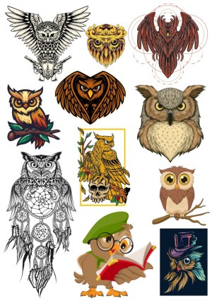 Collection of Diverse Owl Vector Illustrations Free Vector