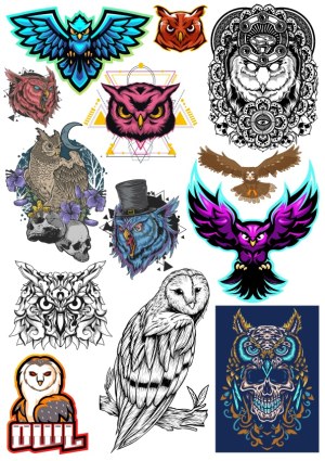 Collection of Detailed Owl Vector Illustrations in Various Styles Free Vector