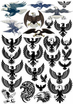 Collection of Eagle Illustrations and Silhouettes Free Vector