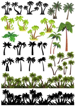 Palm Tree Silhouettes and Colorful Tropical Palm Vectors Free Vector