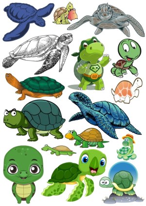 Collection of Cartoon and Realistic Turtle Illustrations Free Vector