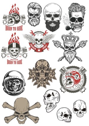 Collection of Detailed Skull and Skeleton Vector Designs Free Vector