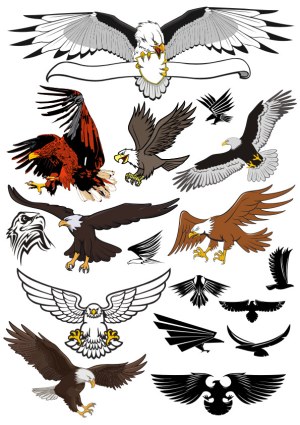 Collection of Eagle Vector Illustrations in Various Styles and Poses Free Vector