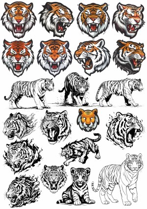Set of Roaring and Walking Tiger Vector Illustrations Free Vector