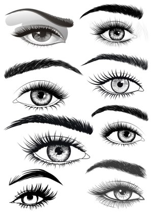 Detailed Black and White Female Eyes and Eyebrows Vector Set Free Vector