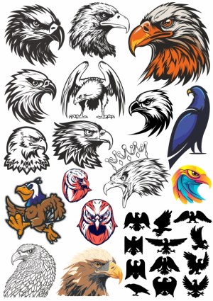 Collection of Stylized Eagle and Bird Vector Illustrations and Silhouettes Free Vector