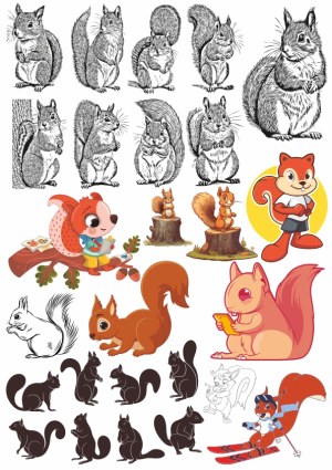Collection of Detailed and Cartoon Squirrel Vectors Free Vector