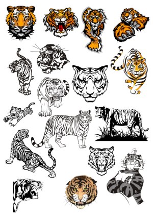 Tiger Illustrations and Vector Graphics Collection Free Vector