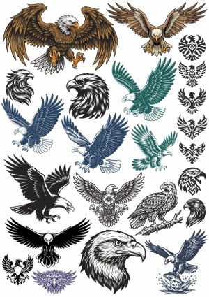 Eagle Illustrations and Tribal Eagle Symbols Collection Free Vector