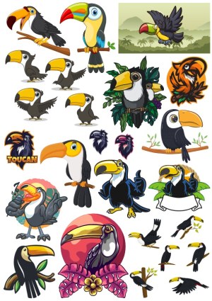 Collection of Colorful Cartoon Toucan Vectors Free Vector
