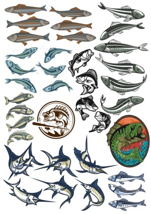 Collection of Various Fish and Marlin Vector Illustrations Free Vector