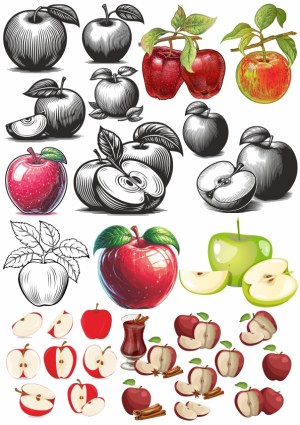 Variety of Detailed Apple Illustrations and Slices Free Vector