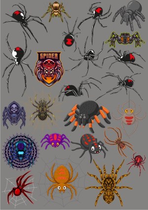Collection of Colorful and Detailed Spider Vector Illustrations Free Vector