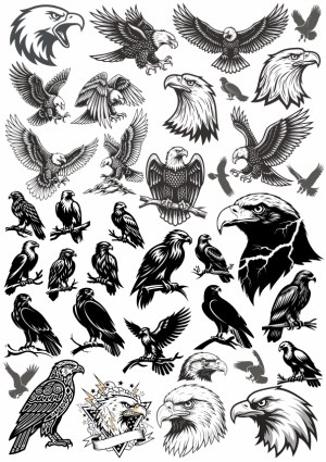 Collection of Black and White Eagle Illustrations and Silhouettes Free Vector