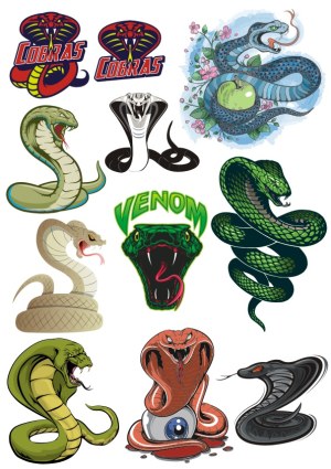 Set of Cobra Snake Vector Illustrations and Logos Free Vector