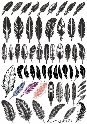 Variety of Stylized Feather and Quill Vector Illustrations Free Vector