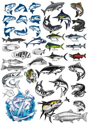 Collection of Detailed Fish and Marine Life Vector Illustrations Free Vector