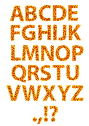 Floral Alphabet Letters and Punctuation in Orange Petals Free Vector