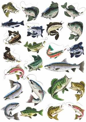 Set of Colorful Fishing Fish Vectors with Hooks and Lures Free Vector