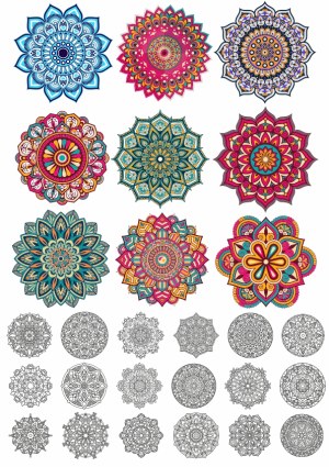 Colorful and Black Mandala Vector Collection Free Vector