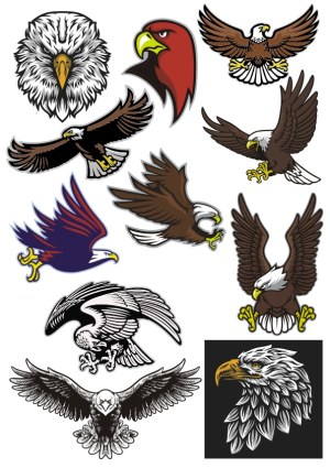 Set of Fierce and Dynamic Eagle Vector Illustrations Free Vector