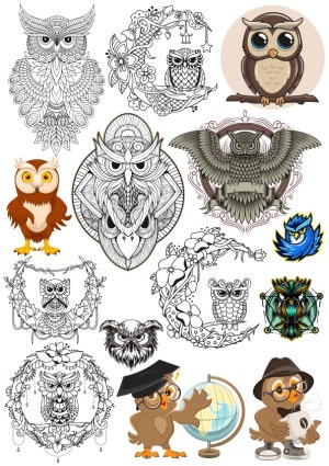 Collection of Owl Vector Illustrations and Designs Free Vector