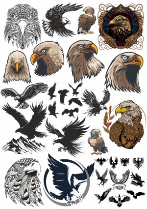 Collection of Eagle and Hawk Vector Illustrations and Silhouettes Free Vector