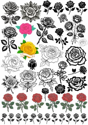 Collection of Black and Colored Rose Vector Illustrations Free Vector