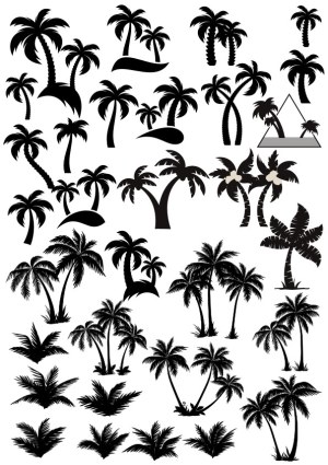 Collection of Black Silhouette Palm Tree Vectors Free Vector