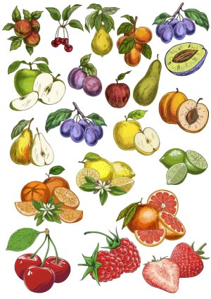 Hand-Drawn Colorful Fruit Varieties Vector Collection Free Vector