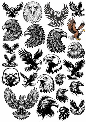 Collection of Detailed Eagle and Falcon Vector Illustrations Free Vector