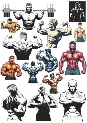 Set of Muscular Male Bodybuilder Vector Illustrations Free Vector