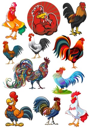 Collection of Colorful Rooster Vector Illustrations Free Vector
