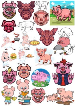 Collection of Cartoon Pig Characters and Pig Heads Illustrations Free Vector