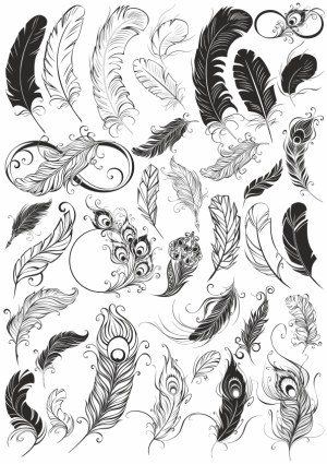 Black and White Feather Collection Vector Art Free Vector