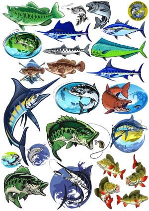 Assorted Colorful Game Fish Vector Illustrations for Fishing Free Vector