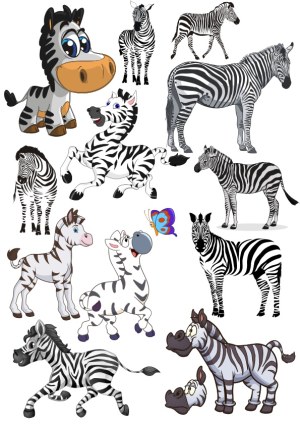 Collection of Cartoon and Realistic Zebra Vector Illustrations Free Vector