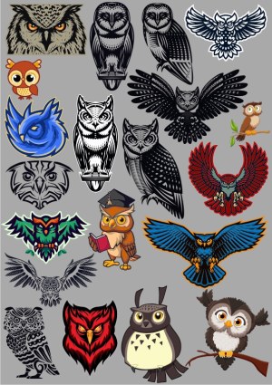 Collection of Various Owl Illustrations and Vector Art Free Vector