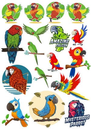 Colorful Cartoon Parrot and Falcon Vector Collection Free Vector