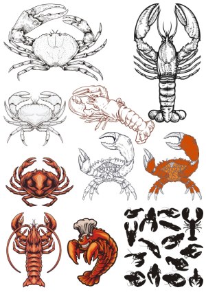 Collection of Crab and Lobster Vector Illustrations Free Vector