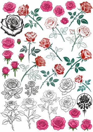 Various Decorative Rose Vector Illustrations Free Vector