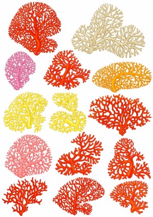 Colorful Coral Reef Vector Collection Free Vector
