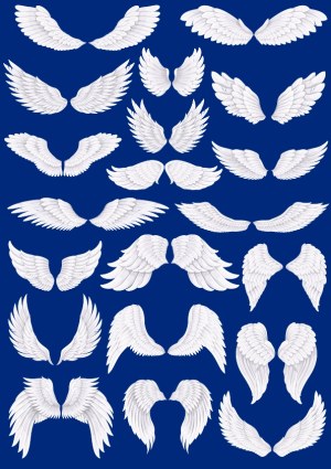 Set of White Angel Wings Vector Illustrations on Blue Background Free Vector